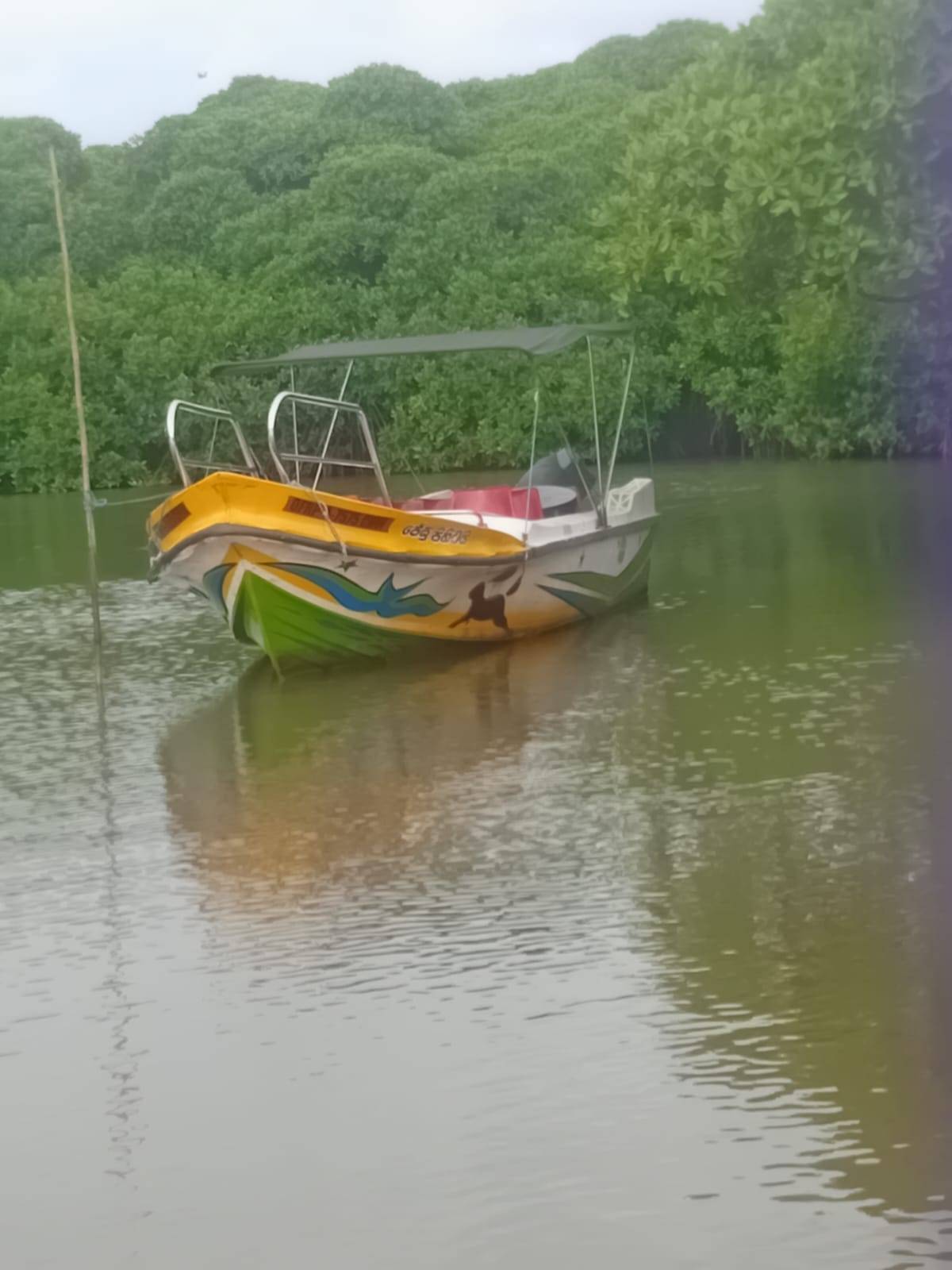 Prasa Boat Safari