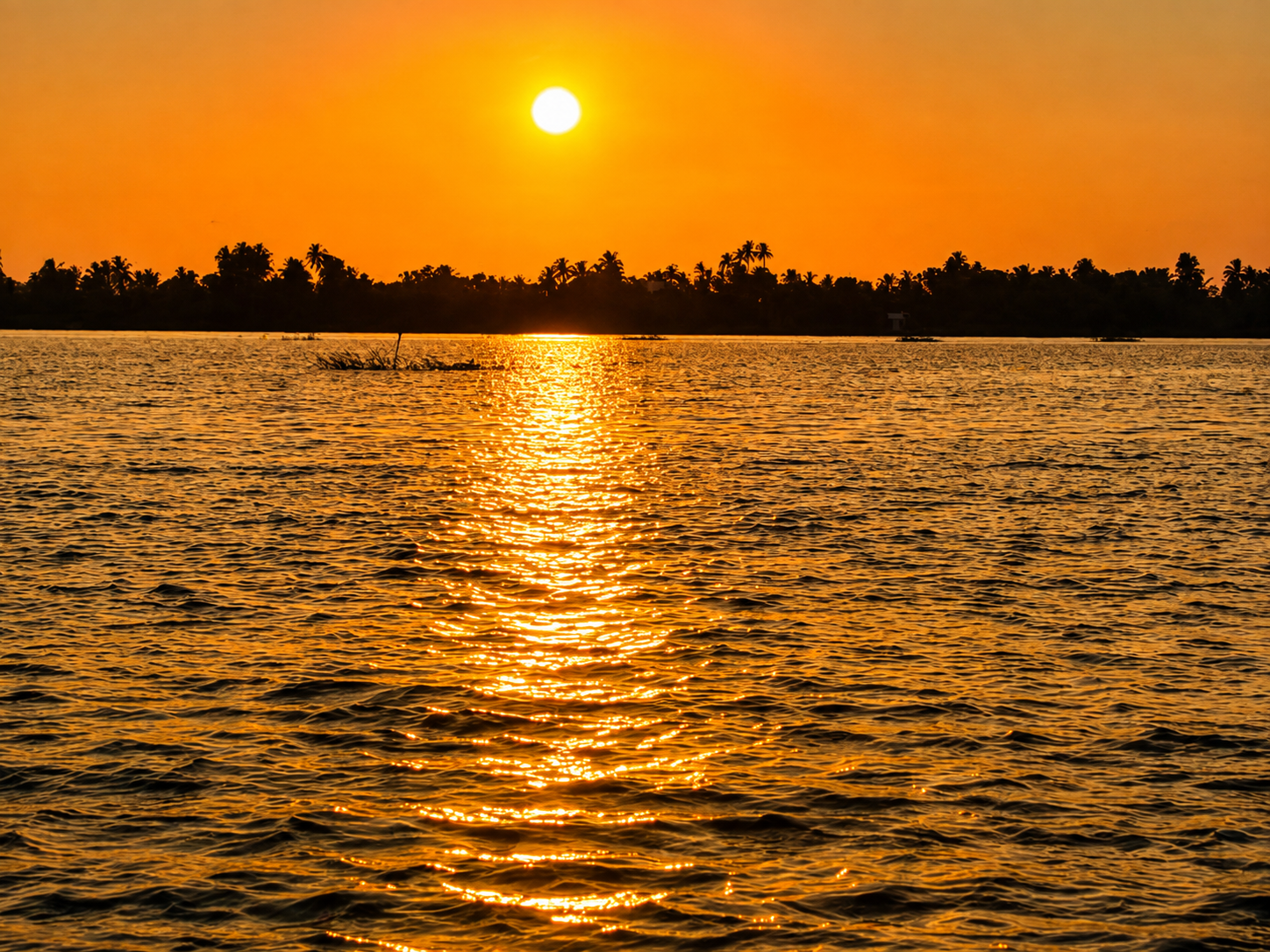 Prasa Boat Safari - Negombo Marine Voyage